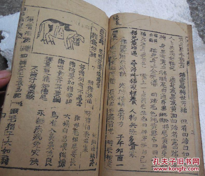 道家奇门法术秘本(绘图)*赣州同盛堂藏版*《相猫猪狗法诀》*原装全1册