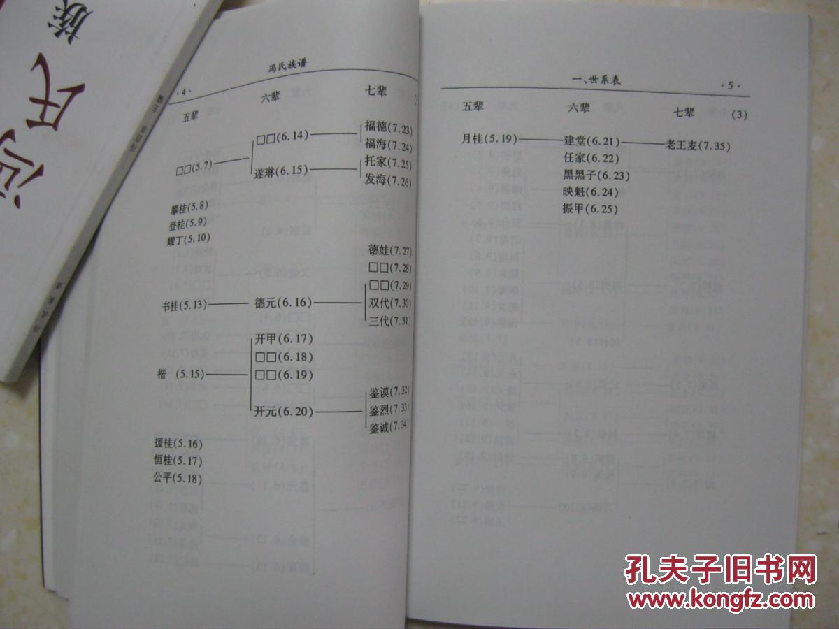 冯氏族谱(甘谷冯坡 冯姓源流略论;即甘肃甘谷县八里湾乡冯坡村冯氏