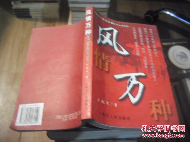 风情万种(中国当代官场言情纪实小说系列)