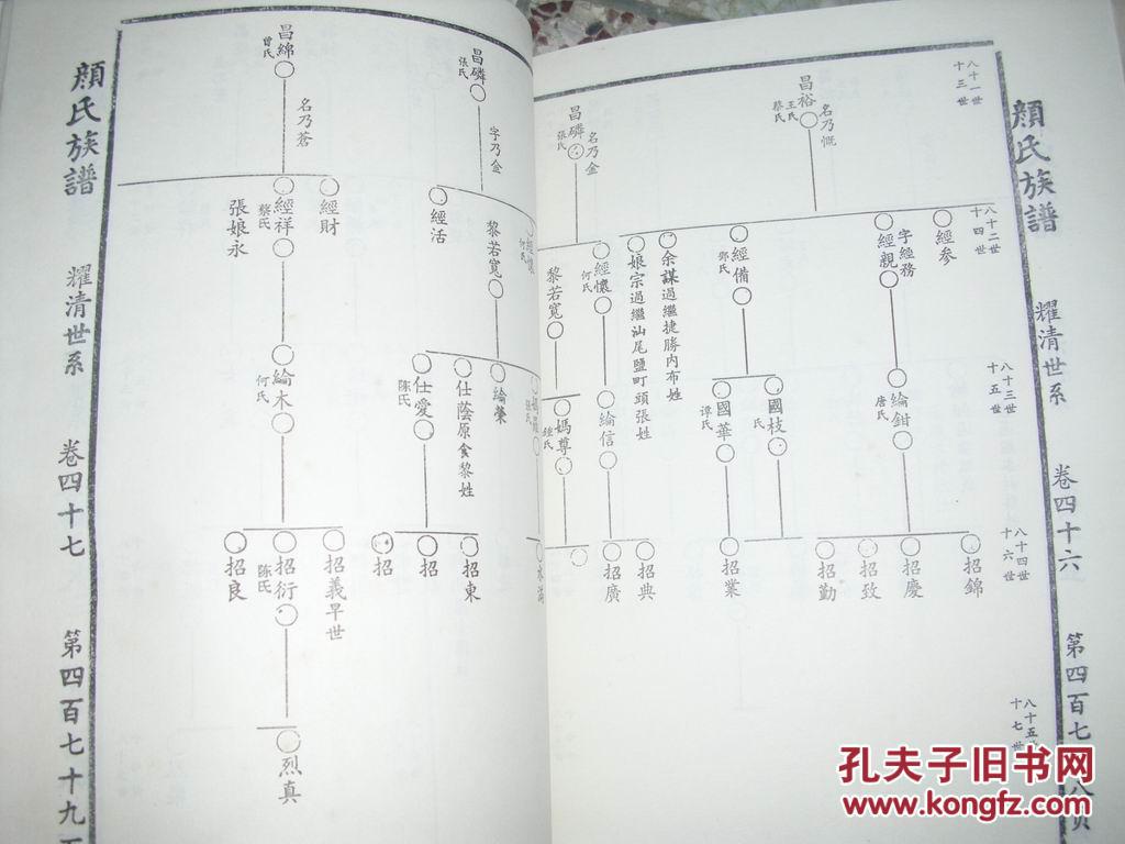闽粤老族谱:颜氏族谱(上下册)颜真卿书 800多页