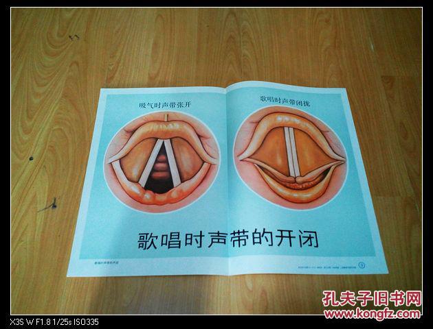 唱歌时声带的开闭――马楚华 画――小学音乐教学图片(挂图)yy01