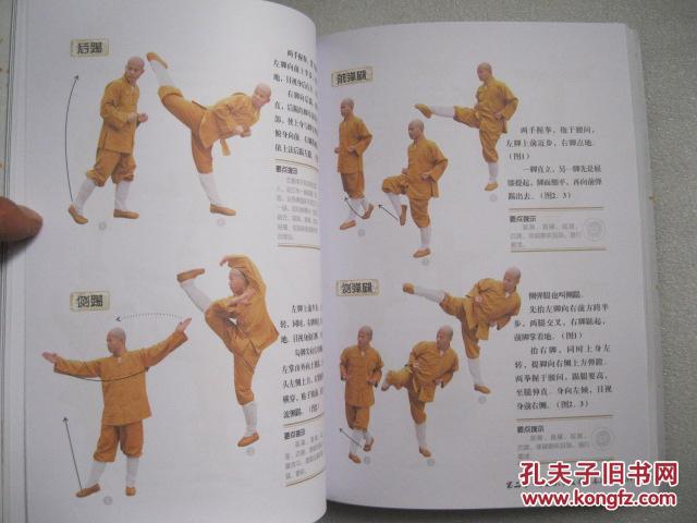 少林大罗汉拳