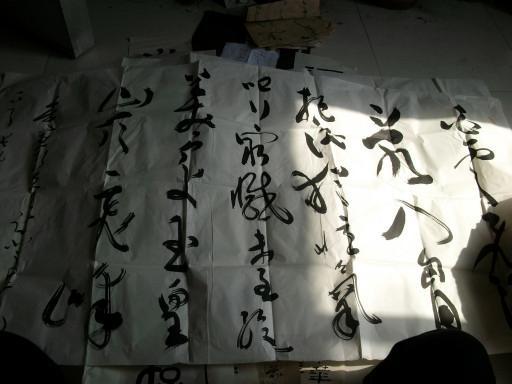 现任中国诗词书画研究会副会长兼秘书长(法人) 商丘著名书法家 张新华