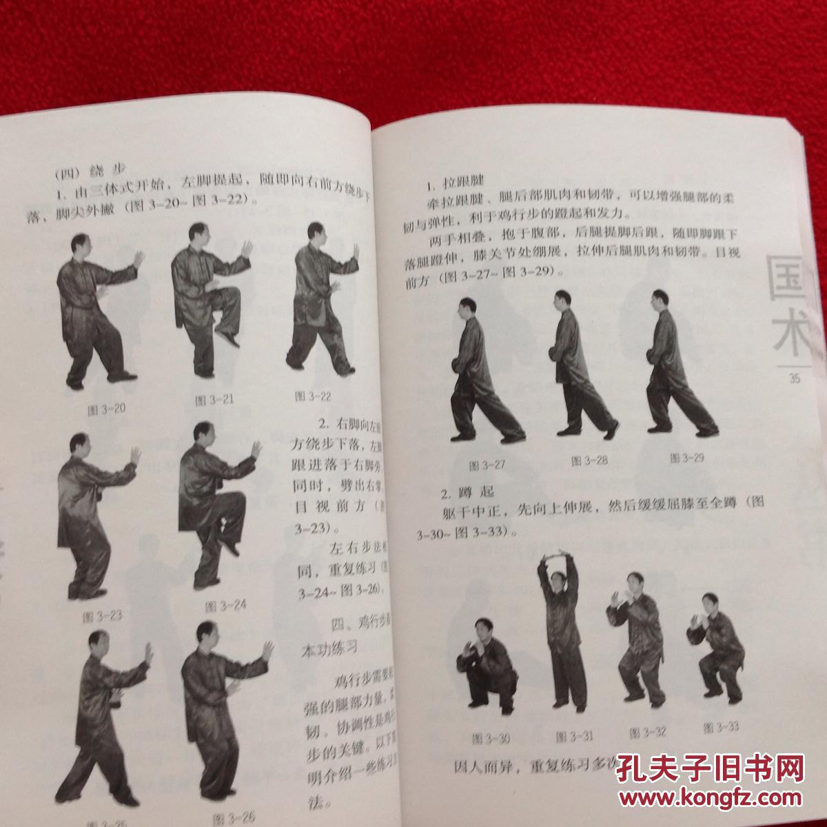 形意拳四象五行精义(没有光盘)实物拍照 按图发货【正版原书】