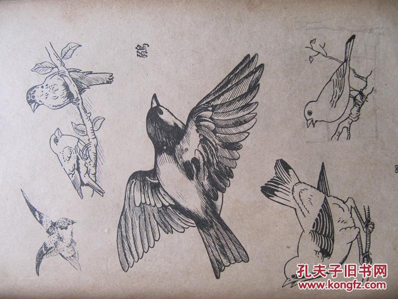 动物画典二集飞禽类