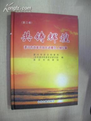 共铸辉煌:漯河市改革开放先进模范人物纪事.第二卷