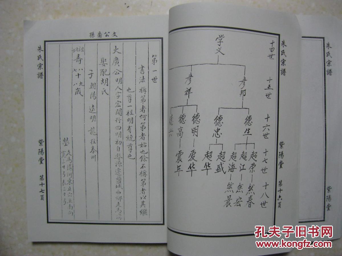 朱氏宗谱(西门2007年续修再版;盐城建湖龙冈紫阳堂蒋营镇公兴马舍.