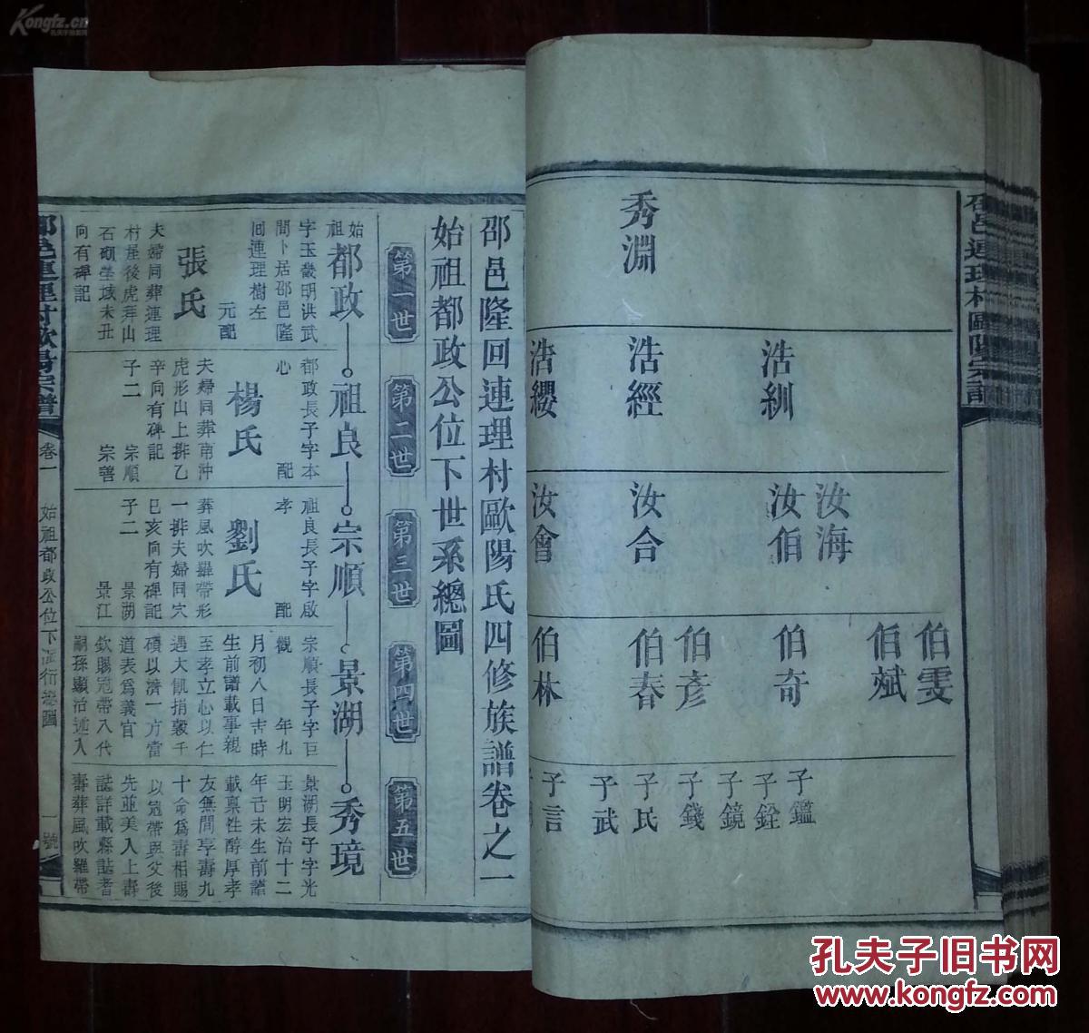 欧阳氏族谱 民国活字本 和欧阳修有关.12册大本 拍品编号:17699793