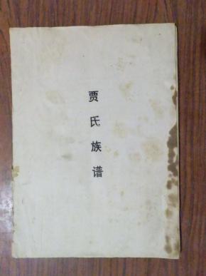 贾氏族谱(贾瑜,贾琮,贾璠后代部分)