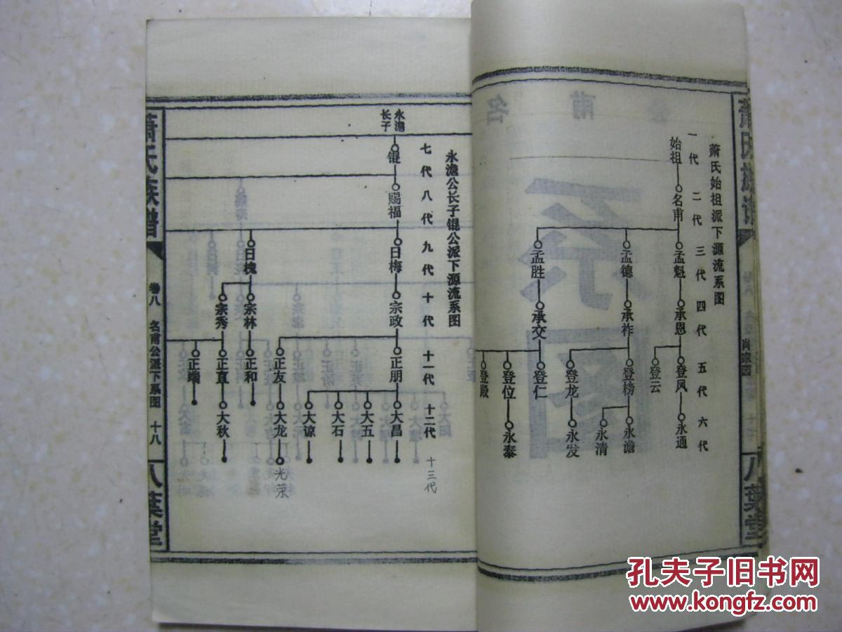 辈分:赐日宗正大光明(鸿)猷启绪诗礼绍先.八叶堂,杨柳塘,萧家园)