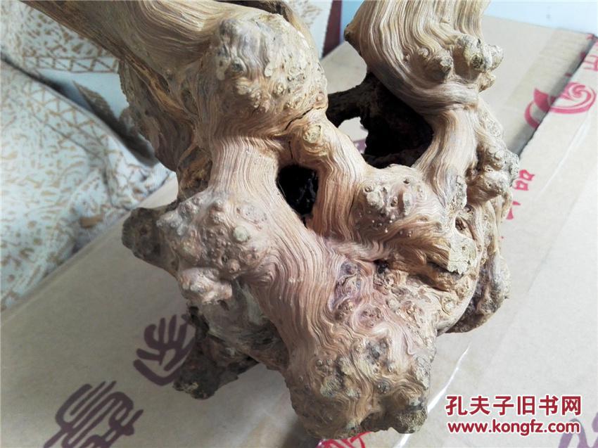 "树瘤"多!根雕随形摆件【合欢】.庭中栽得红荆树,十月花开不待春.
