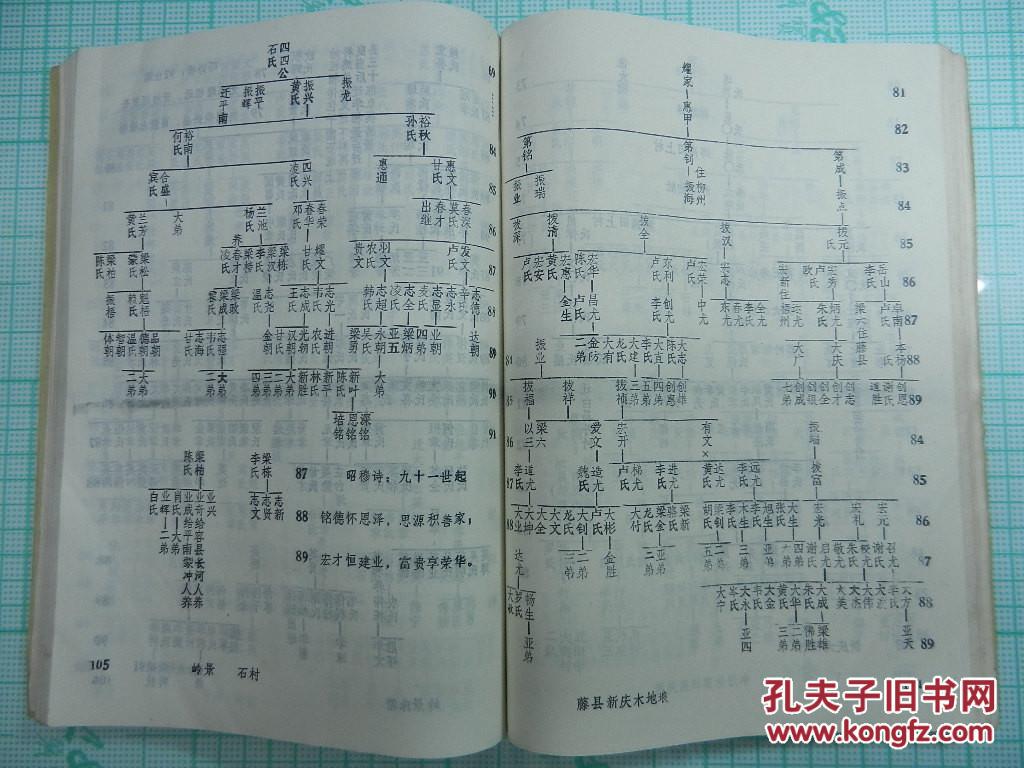 梁氏族谱 卷首 卷上 (广西贵港地区)_梁氏族谱编委会
