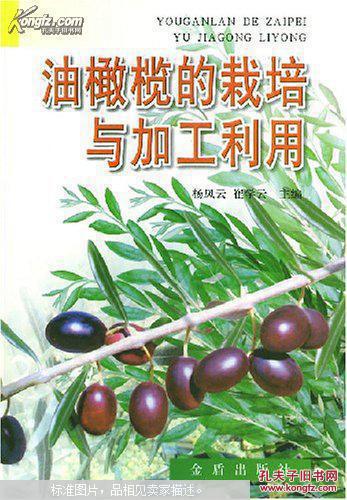 【图】橄榄树栽培书籍 油橄榄种植技术书籍 油