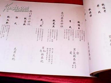 耿氏家谱【封面题字,李守诚】续修人,耿昭顺