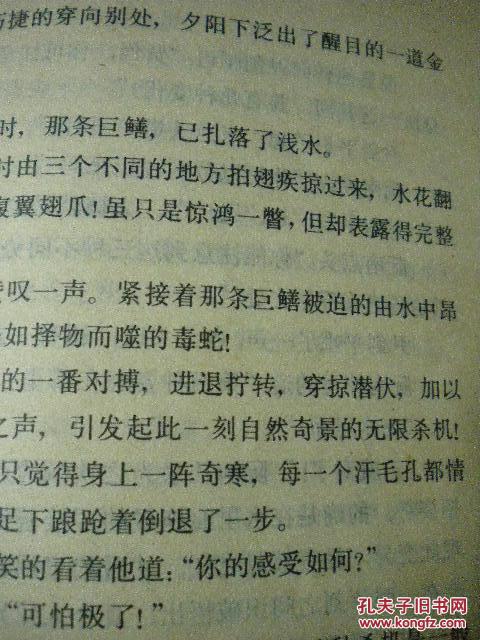 九妹简谱(3)