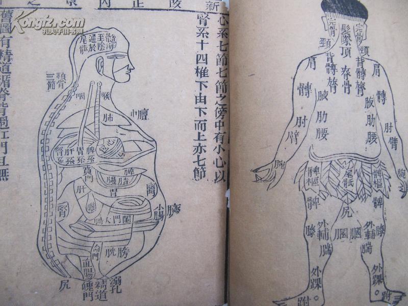 改正内景五脏六腑经络图说 七十二脉歌
