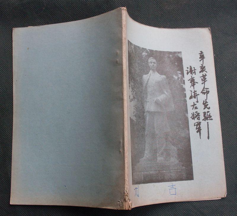 辛亥革命先驱--谢奉琦左将军