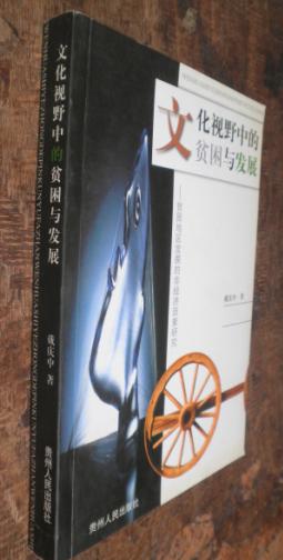 文化视野中的贫困与发展--贫困地区发展的非经