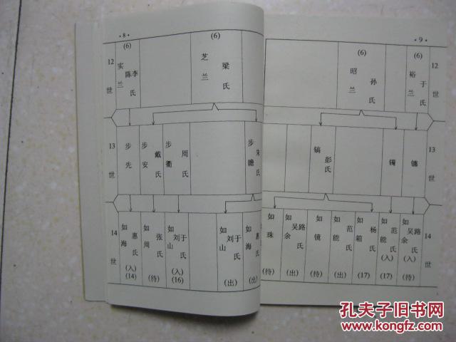 洪氏东门支谱洪氏族谱江苏省建湖县一带始祖洪仁正明朝洪武初年与弟义