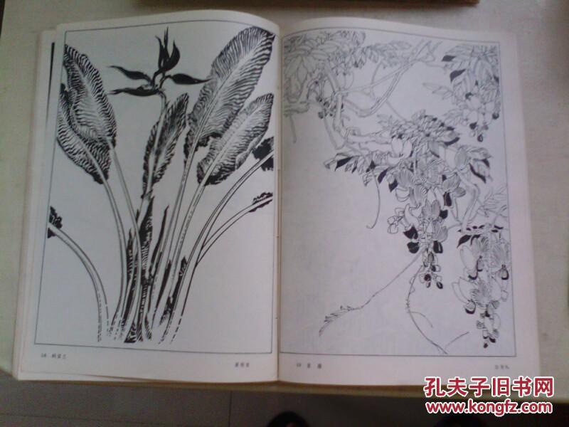 花卉黑白画