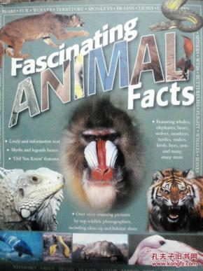 英文原版  少儿动物百科   fascinating animal  facts      动物世界