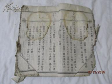 乌龟氏家族有多少人口_宁夏有多少人口(3)
