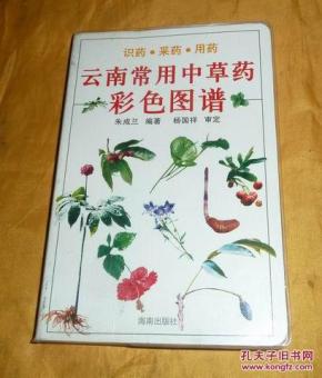 云南常用中草药彩色图谱