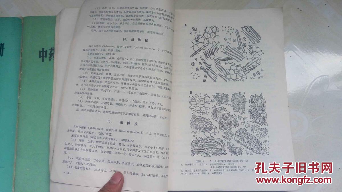 中药粉末显微鉴别手册(第一,二,三卷/全三册)