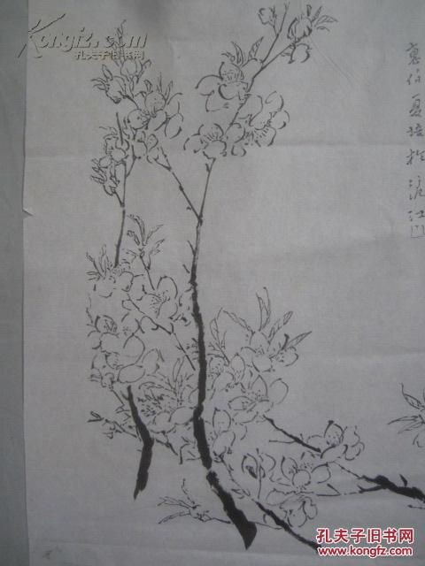 沈`中玉 作 桃花 素描国画一幅 尺寸39/27厘米