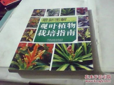 pYYBAFYuK66AAM6NAAE6DZvanOc338_n.jpg