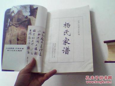 杨氏家谱【山西洪洞大槐树百姓家谱】2004年初版仅印1000册私藏八品