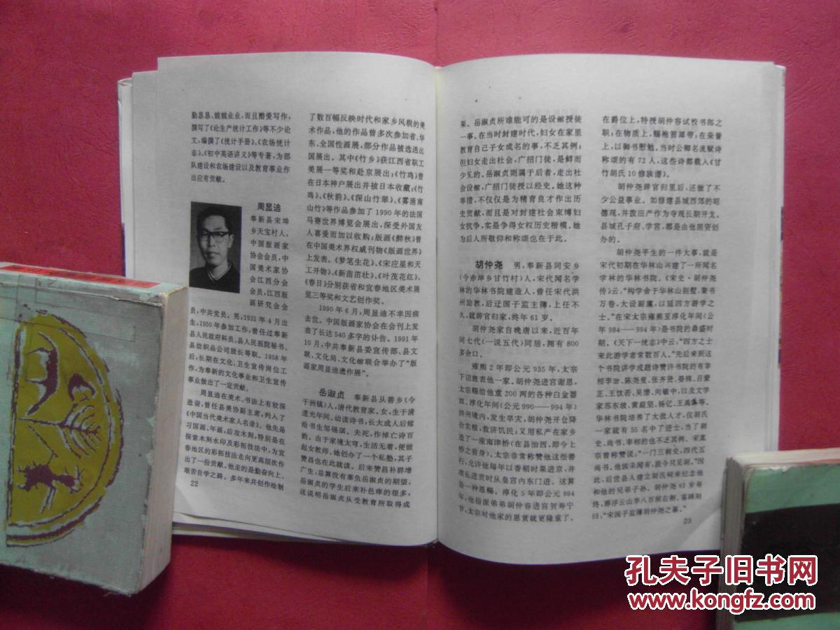 奉新名人辞典【同类书另出版有:奉新县志,奉新人民革命史奉新名人辞典