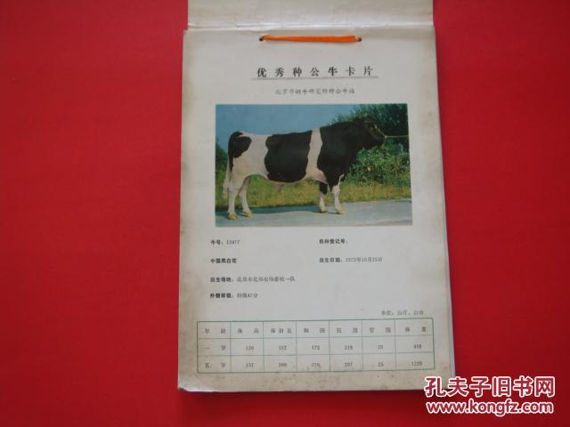 优秀公牛北京市奶牛研究所种公牛站