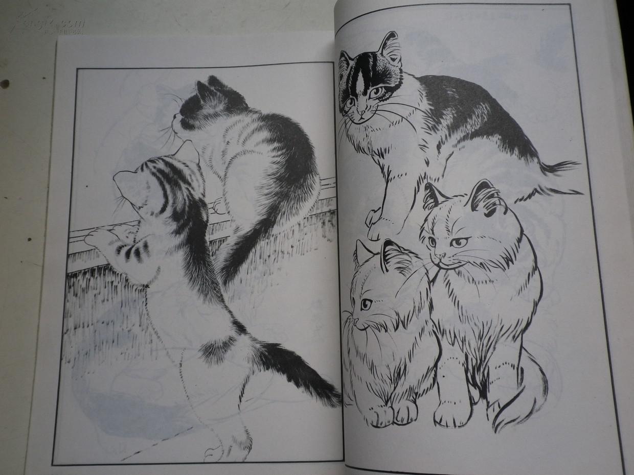百猫谱(图2)