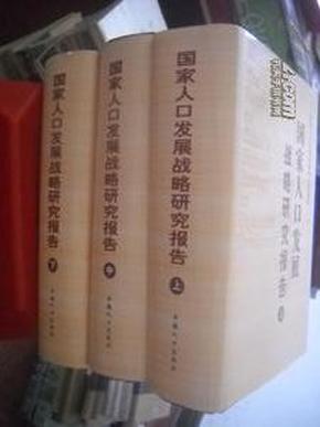 人口发展战略研究报告_人口发展模式图(3)