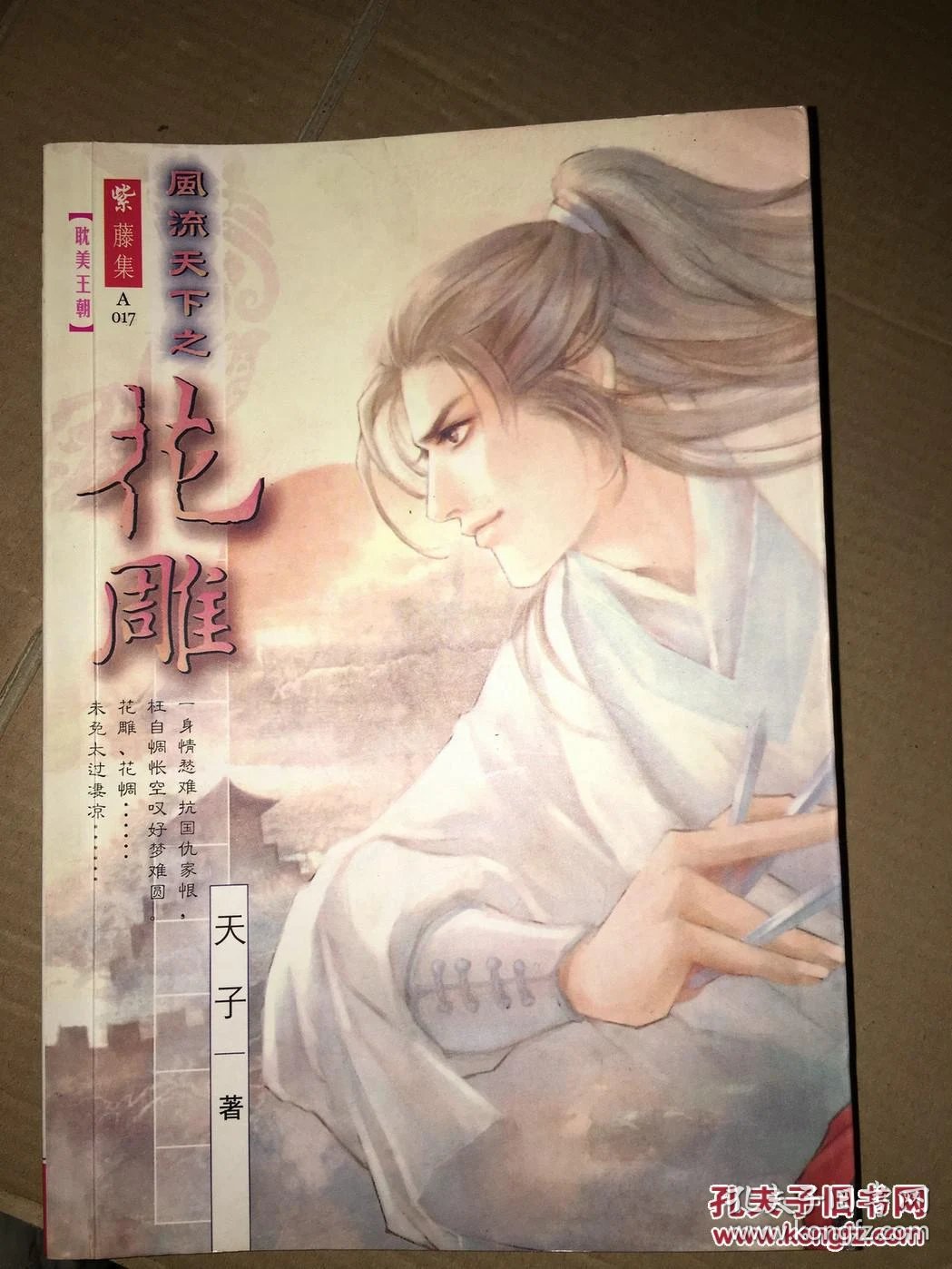 yy皇族风流天子_风流天子小说_天子的风流天下