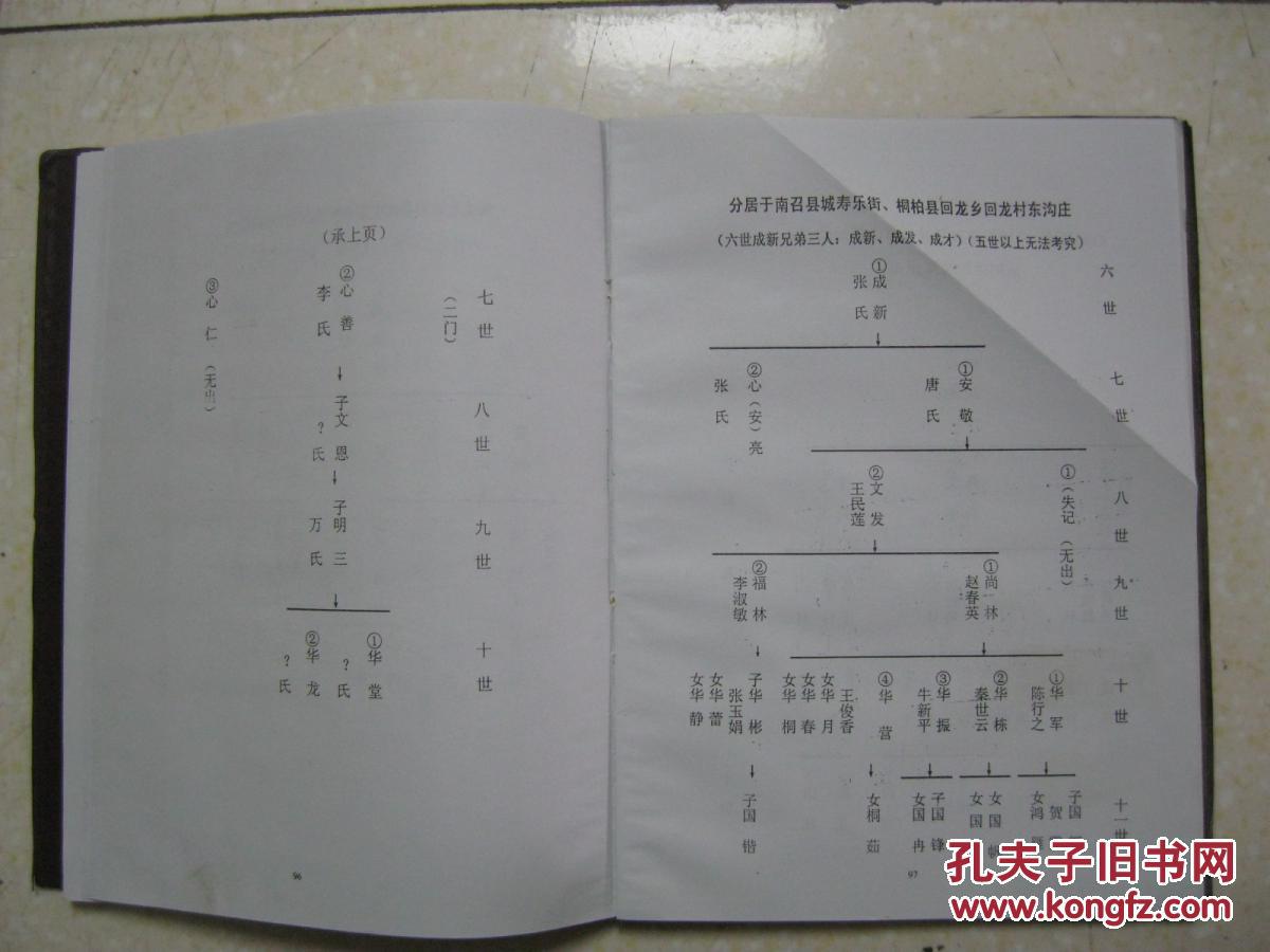 周氏家谱(南召分册.派序:发振全成业文武丕启昌)
