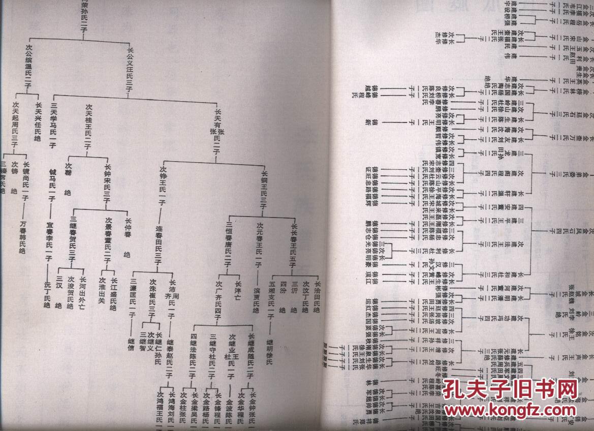 李氏族谱