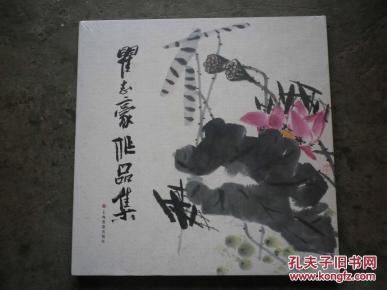 孔网搜索:翟志豪作品集