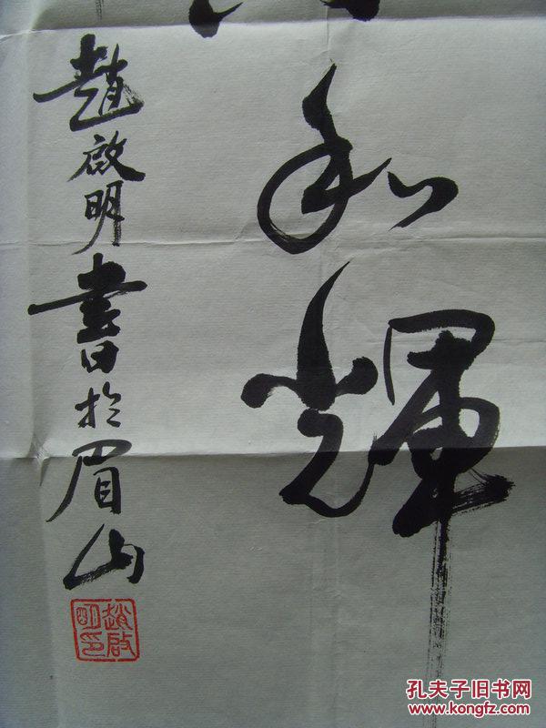 赵启明:书法:雅气和辉