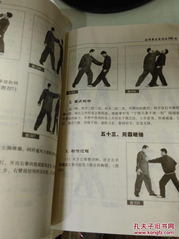 正版原版 迷踪拳技击绝技108招 李玉川 2007年 174页 9品 燕青拳