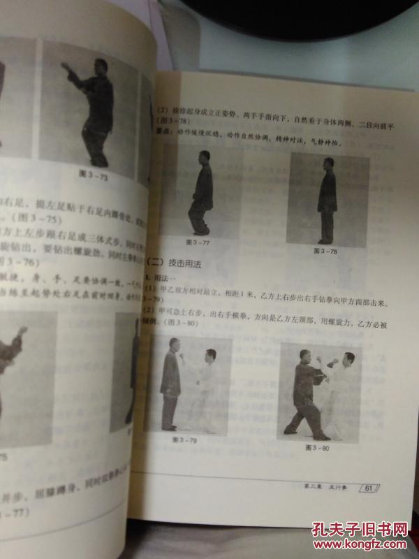 正版原版形意拳十二形精典套路刘敬儒2010年291页9品