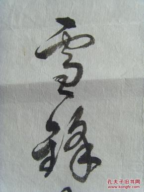 牛化龙(雪锋):书法:02飞龙舞凤(中 国书画家协会,中国