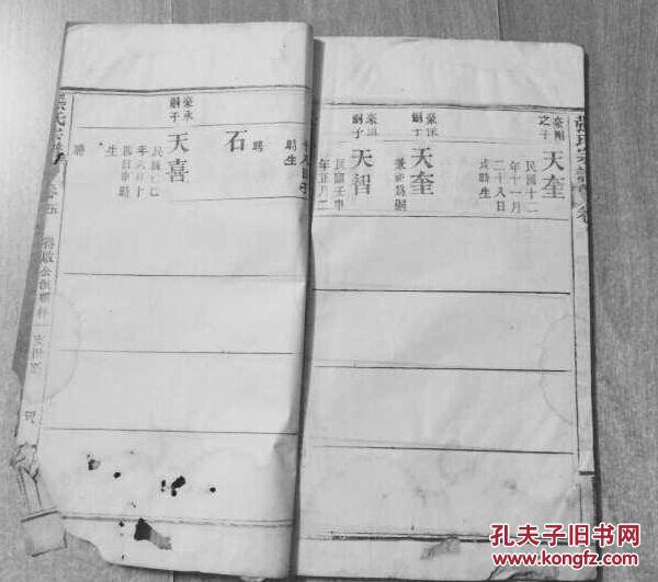 张氏族谱 