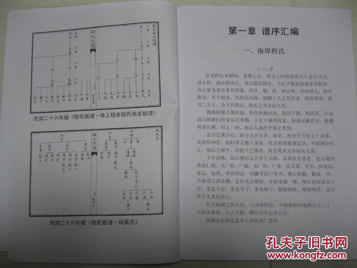 专氏人口_人口普查(2)