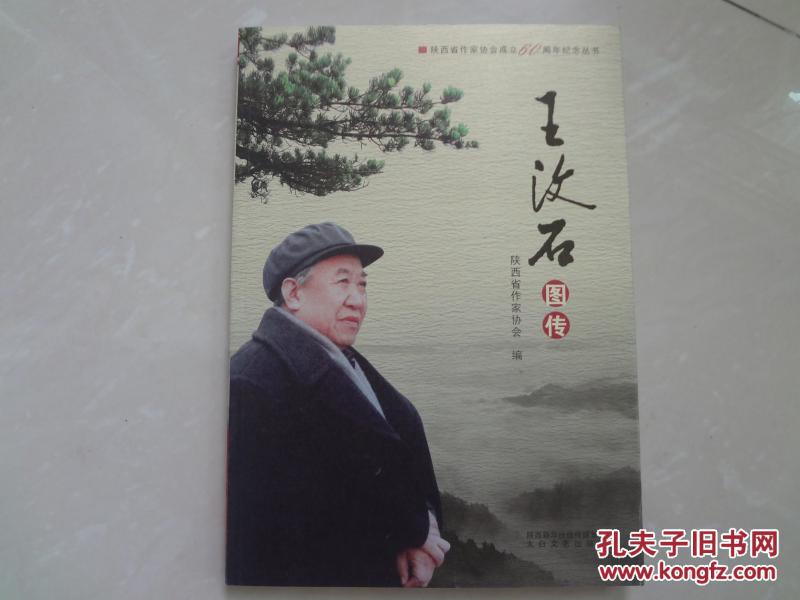 王汶石图传