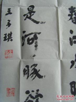 王子琪:书法《惠崇春江晚景—宋·苏轼 竹外桃花三两枝 春江