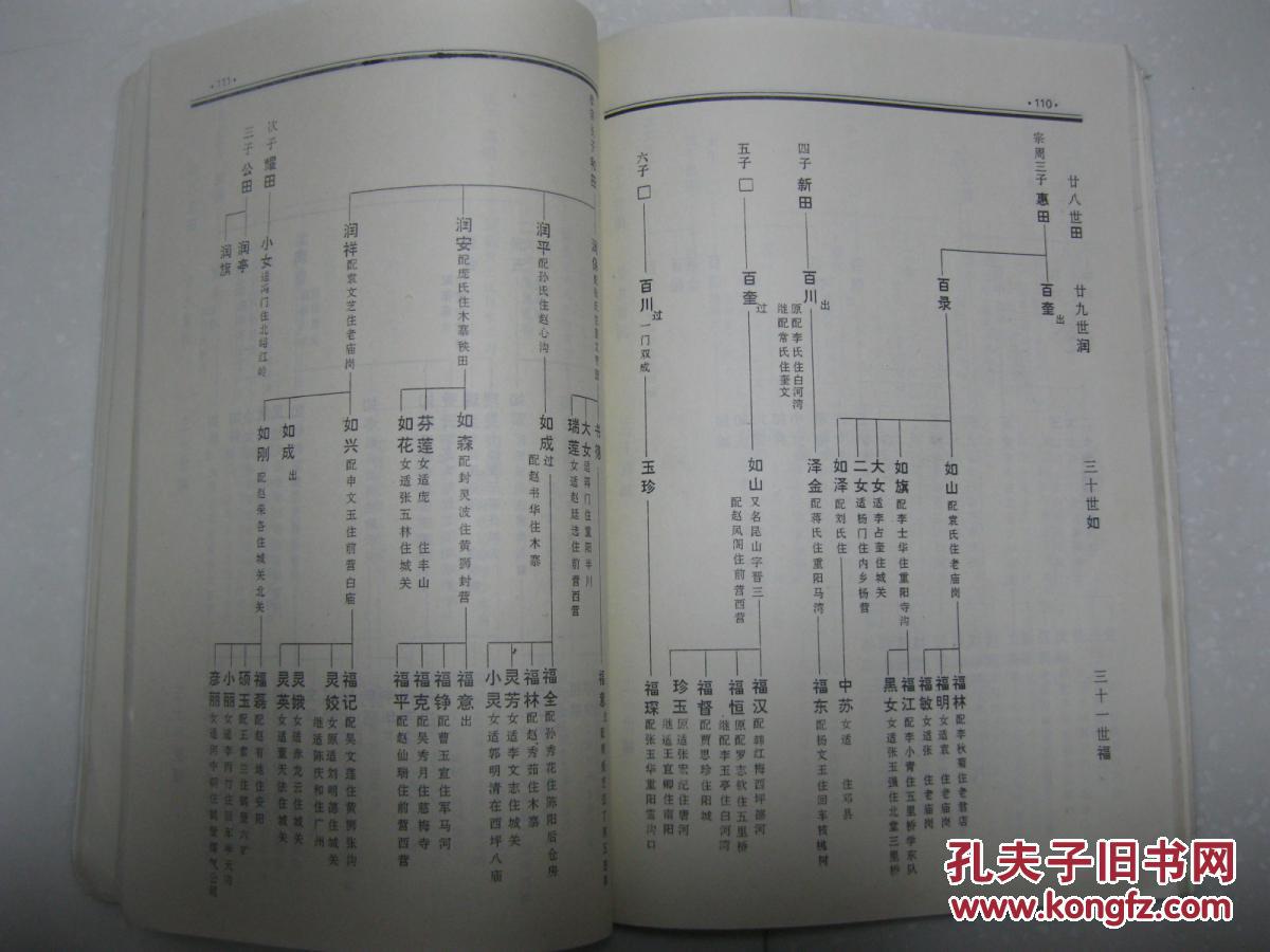 世系图包括:大禹至袭阳公;春至羽辉;景至荣国;田关杜营支系;西岳庙沟
