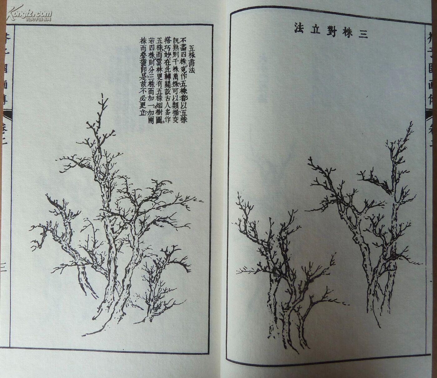 芥子园画谱 正版书籍_孔夫子旧书网