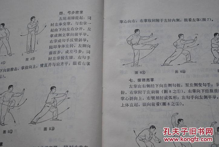 形意拳.八卦掌.太极剑.
